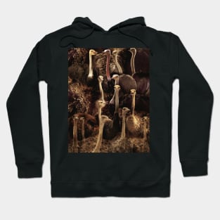 Ostriches Hoodie